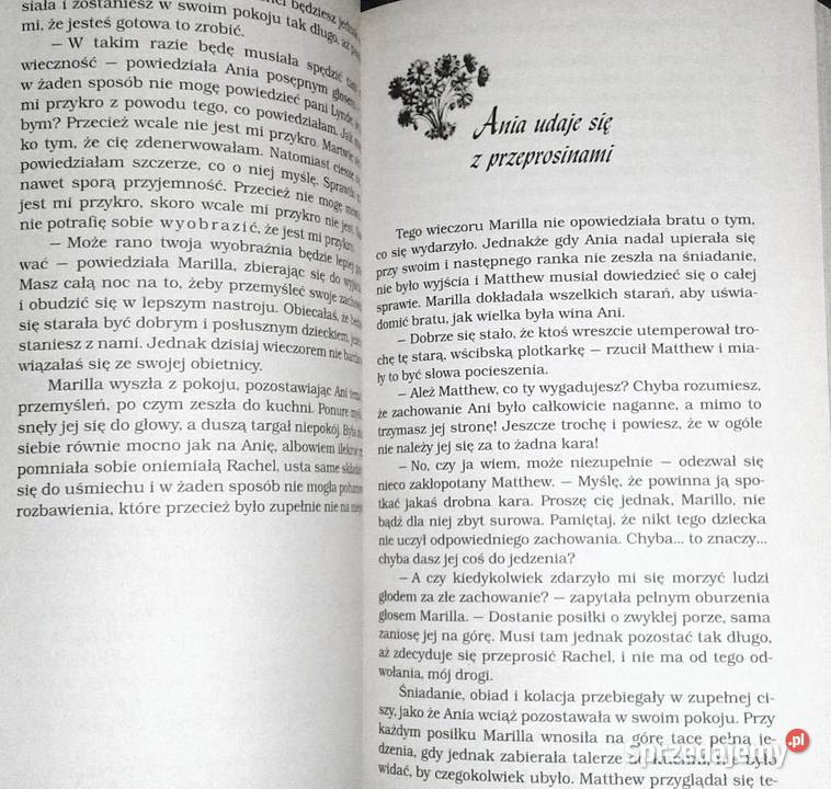 Ania z Zielonego Wzgórza Lucy Maud Montgomery