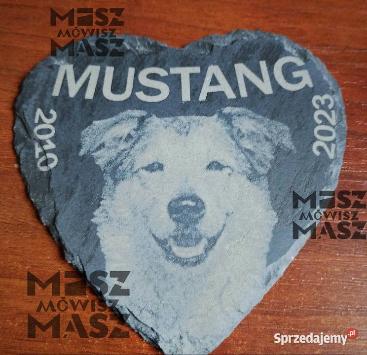 Tabliczka pamiątkowa zwierzaka z fotograwerem Rękodzieło wielkopolskie Racot