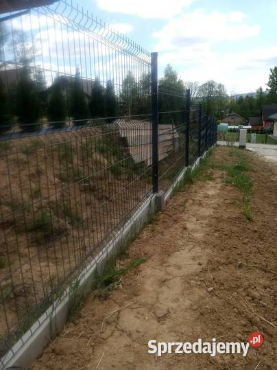 Panel ogrodzeniowy 123x250 fi4mm Gorlice