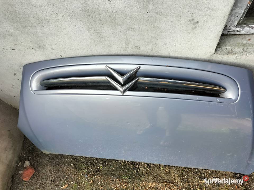 CITROEN XSARA PICASSO GRIL ATRAPA MASKA KLAPA Kamień-Kolonia