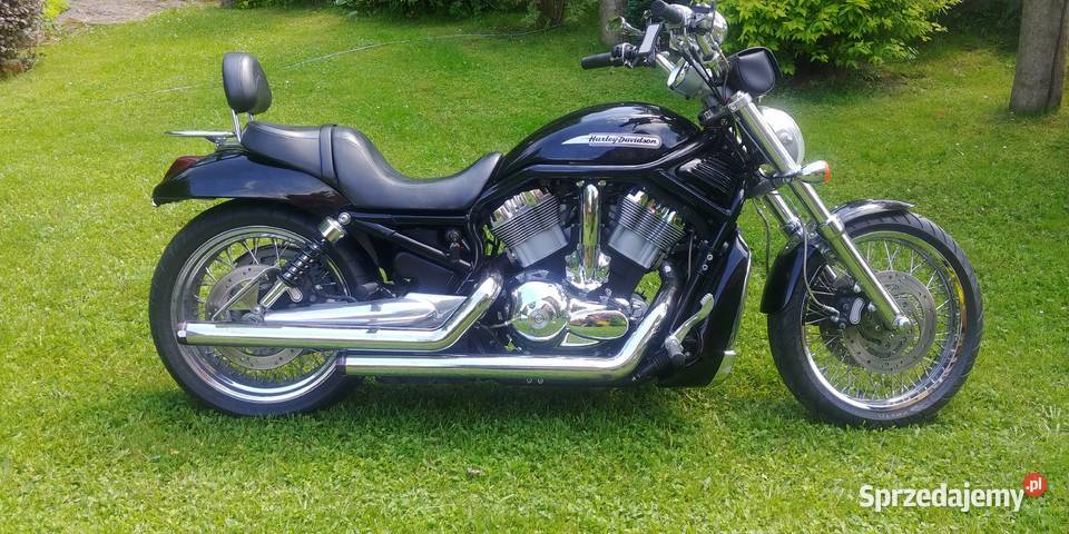 Piękny okaz Harley Davidson V ROD 2004r szprychy 1200cm3 Kalwaria Zebrzydowska