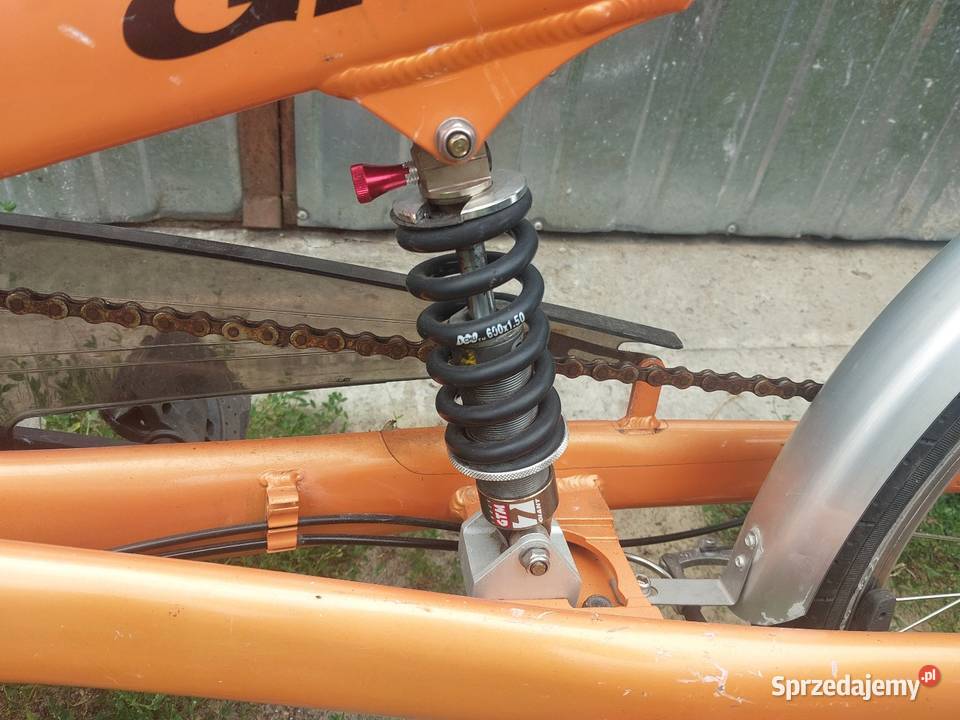 Rower giant Revive Uniejów