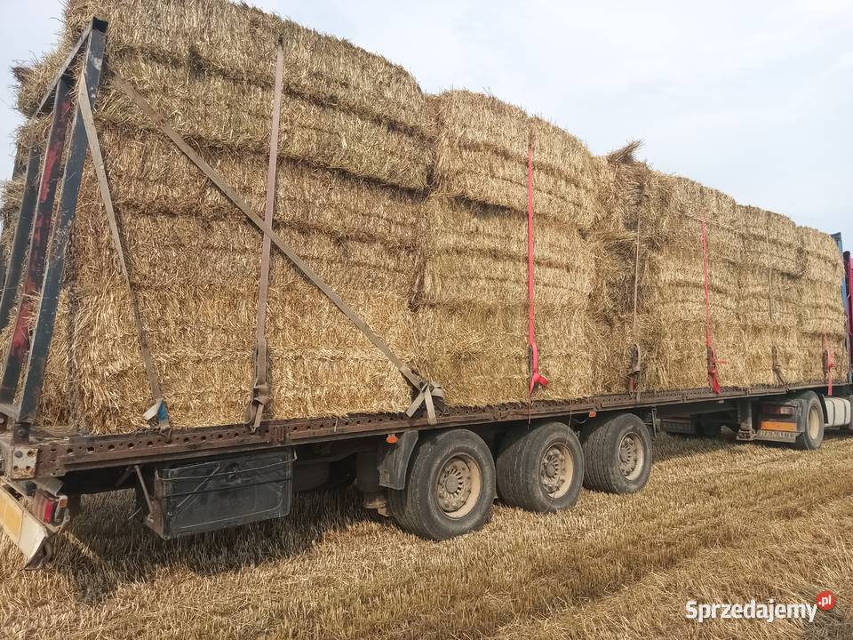 siano w duża kostka suche z tego roku transport Lublin