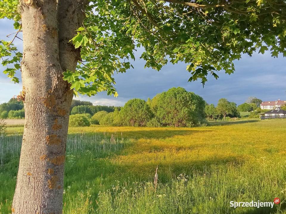 Kraina Jezior Filipów
