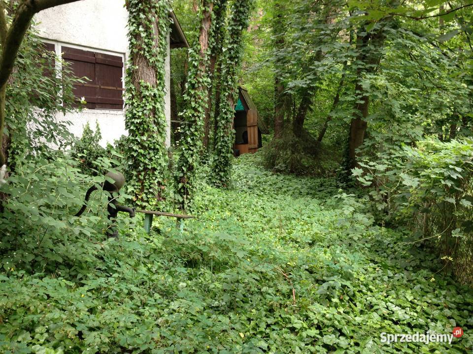 Dwa domy na pięknej działce 35 Warszawy OKAZJA mazowieckie Osieck sprzedam