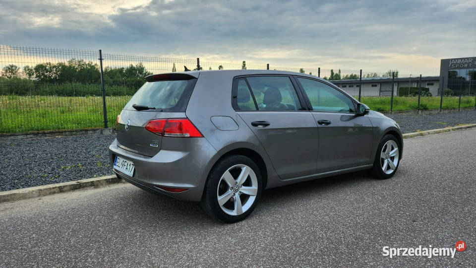 Volkswagen Golf 2017 12TSi Salon 110 Klima 2 wł Pabianice
