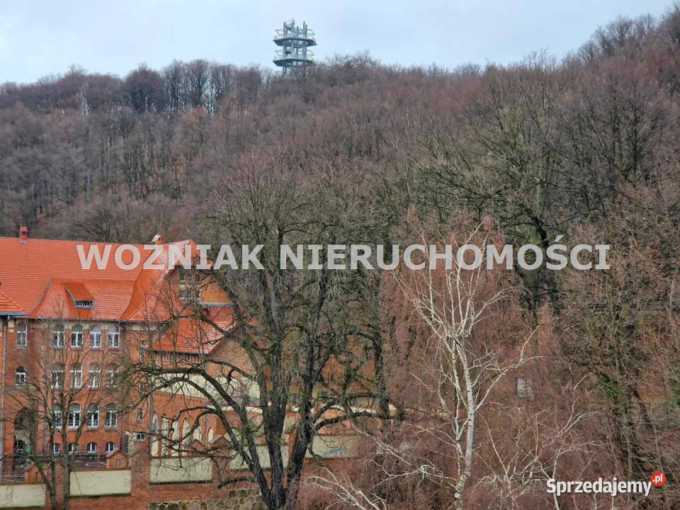 Ogłoszenie mieszkanie 7056 metrów Wałbrzych