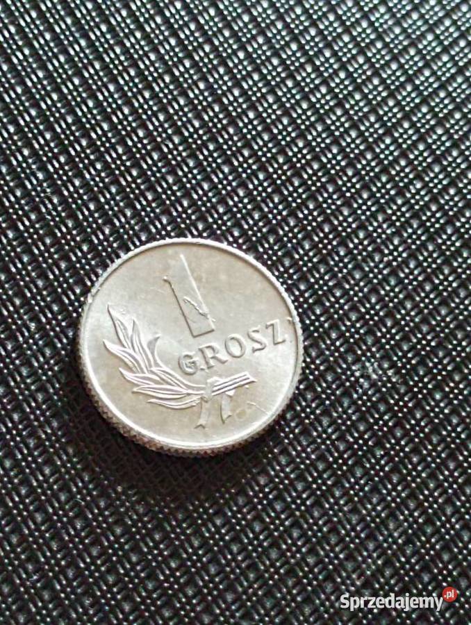 Sprzedam trzeci 1 grosz 1949 r bzm Chełm