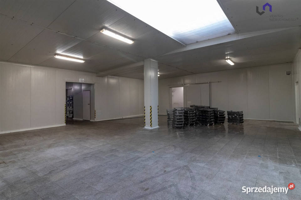 Lokal Ruda Śląska 1056m2 sprzedam