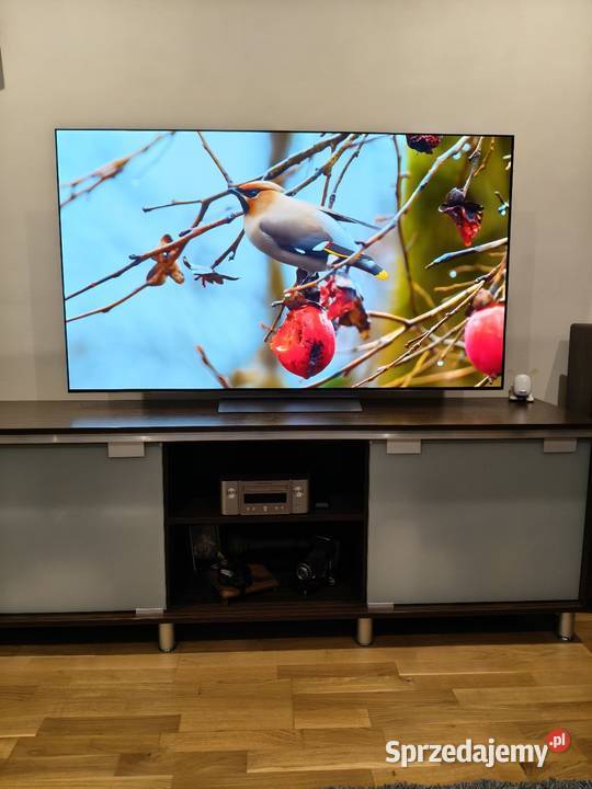 LG OLED 65 C3 na gwarancji Kraków
