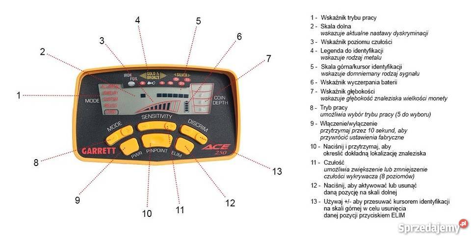 Garrett ACE 250 Sulmierzyce sprzedam