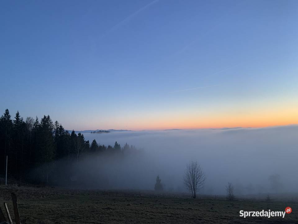 Domek do wynajęcia Wynajem Istebna sprzedam