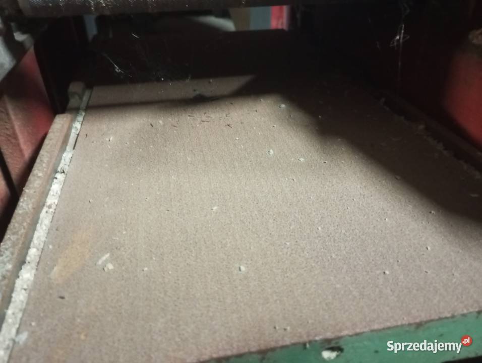 Grubościówko wyrówniarka Buk