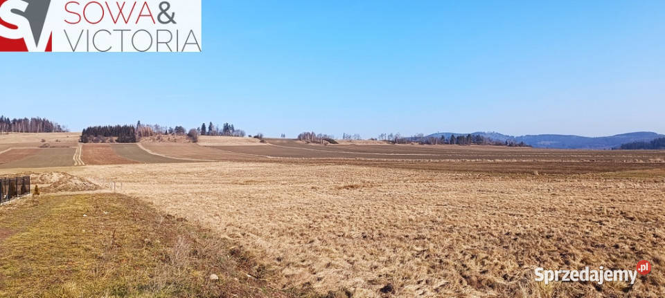 Słoneczna działka budowlana w Borównie Borówno