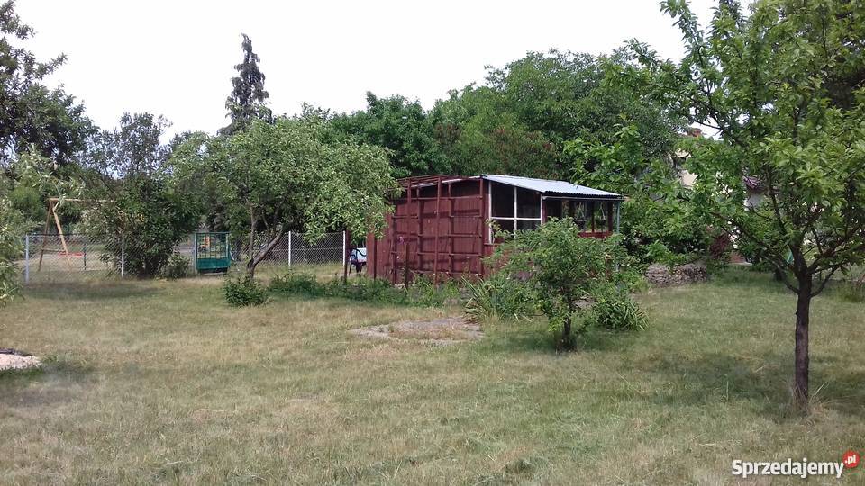 Działka ROD Stokrotka rekreacyjna Opole