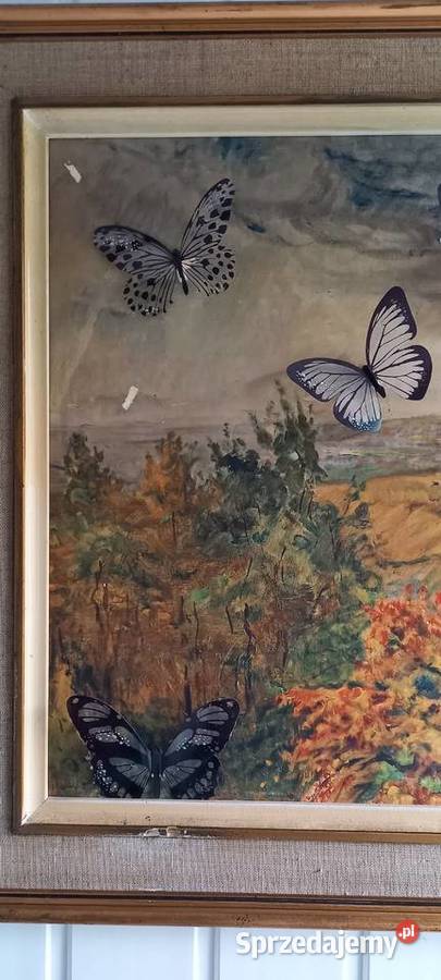 Obraz pejzaż krajobraz olej 1979 mazowieckie sprzedam