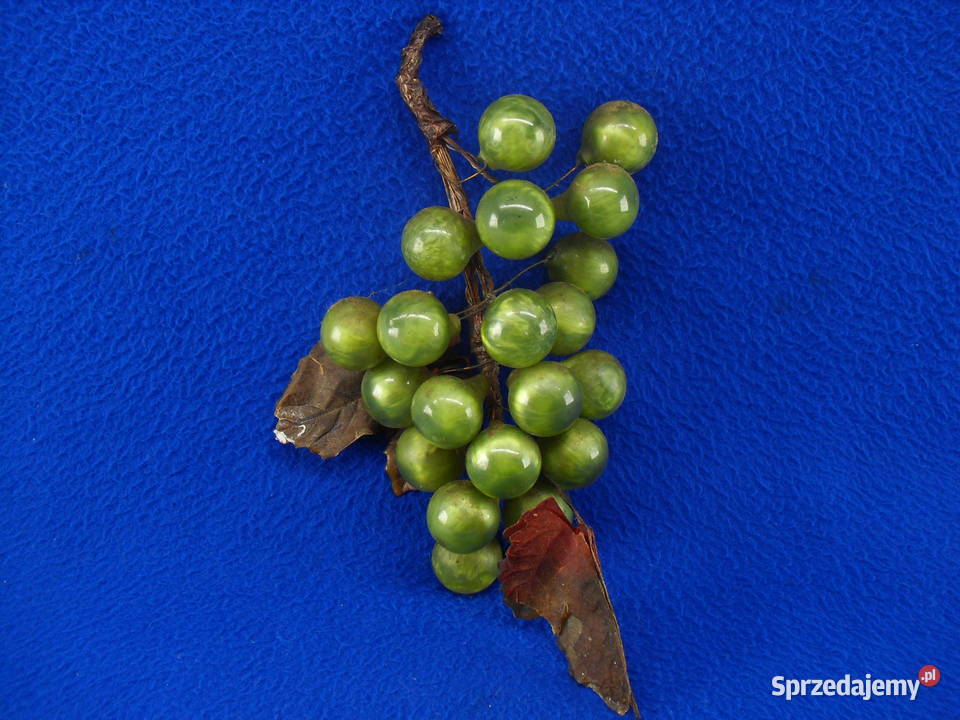 Winogrona ozdobne Bielawa