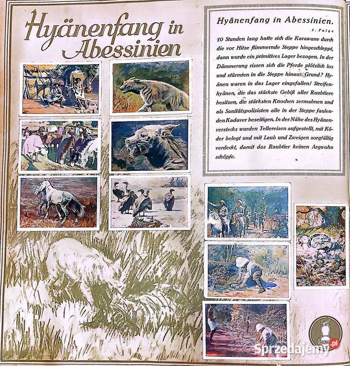 Allbum kolekcjonerski z 1929 r Mit Carl Konin