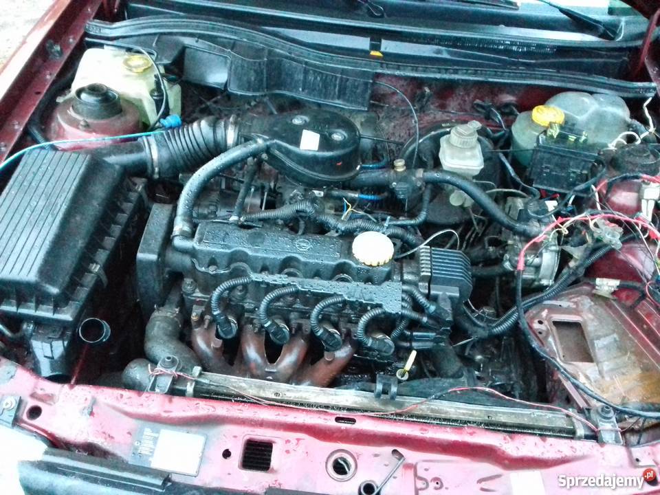 Opel Astra F 16 8v Wszystkie części Hańsk-Kolonia