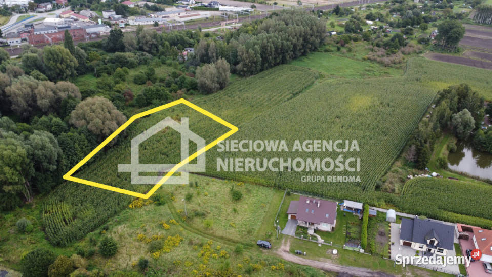 Grunt Pszczółki 3342m2 Grunty i działki