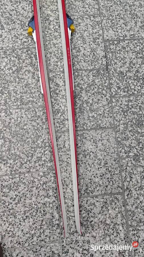Narty biegowe ASNES 160 wiązania SNS Dębica sprzedam