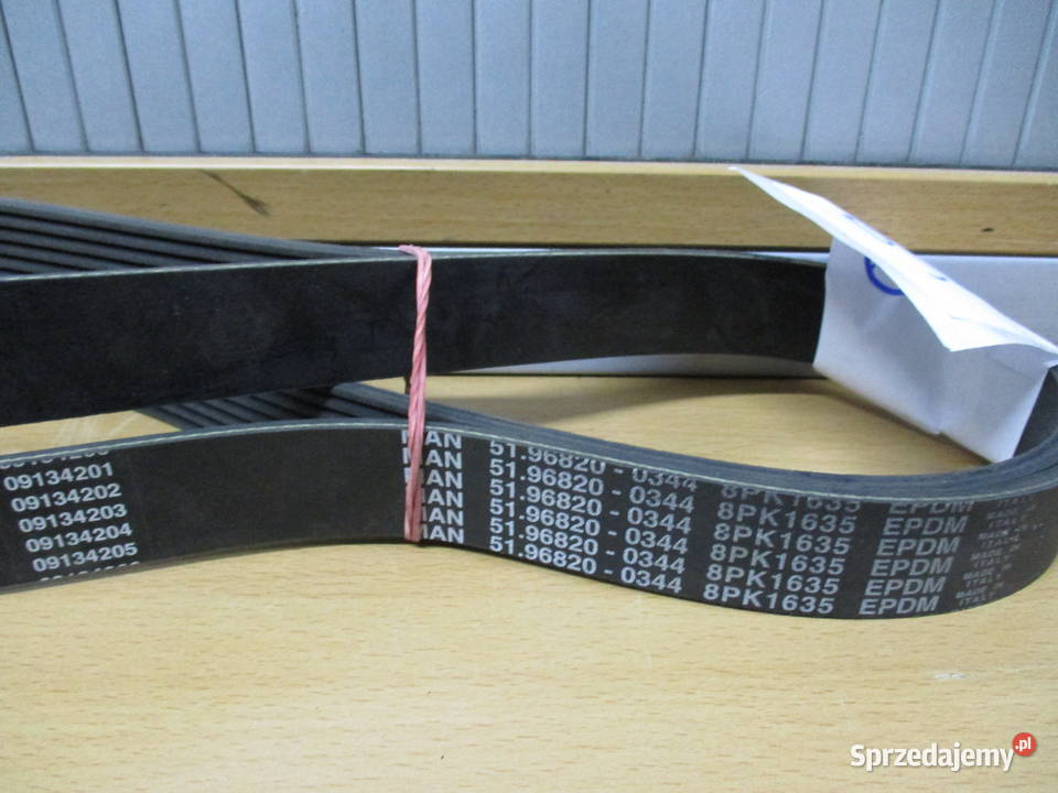 Pasek klinowy rowkowany Man 51968200344 Mogilno