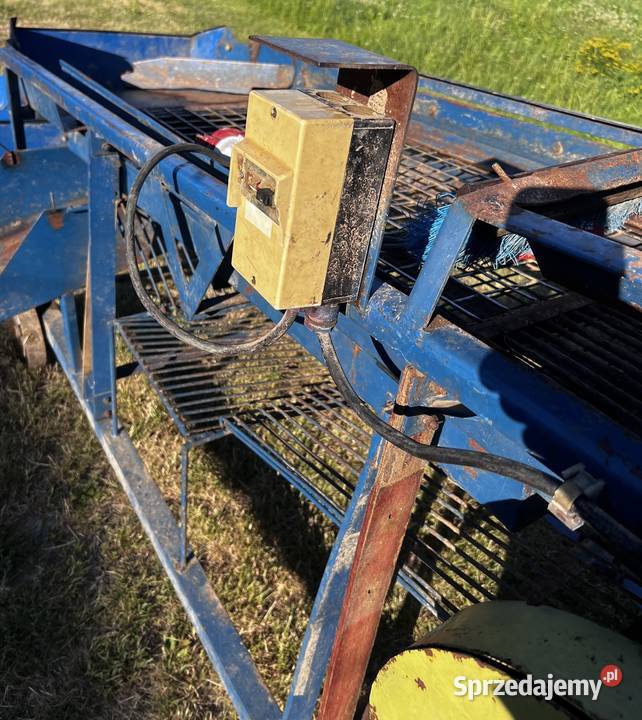 Sortownik do ziemniaków z workownica