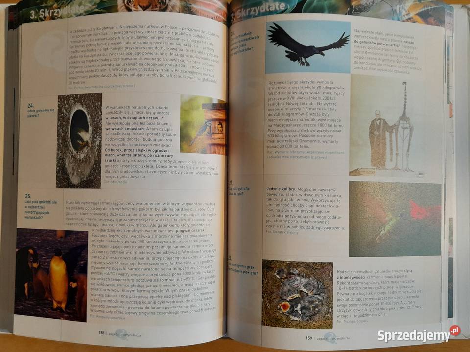 Książka Wielka księga zagadek niezmiernie Dąbrowa Górnicza