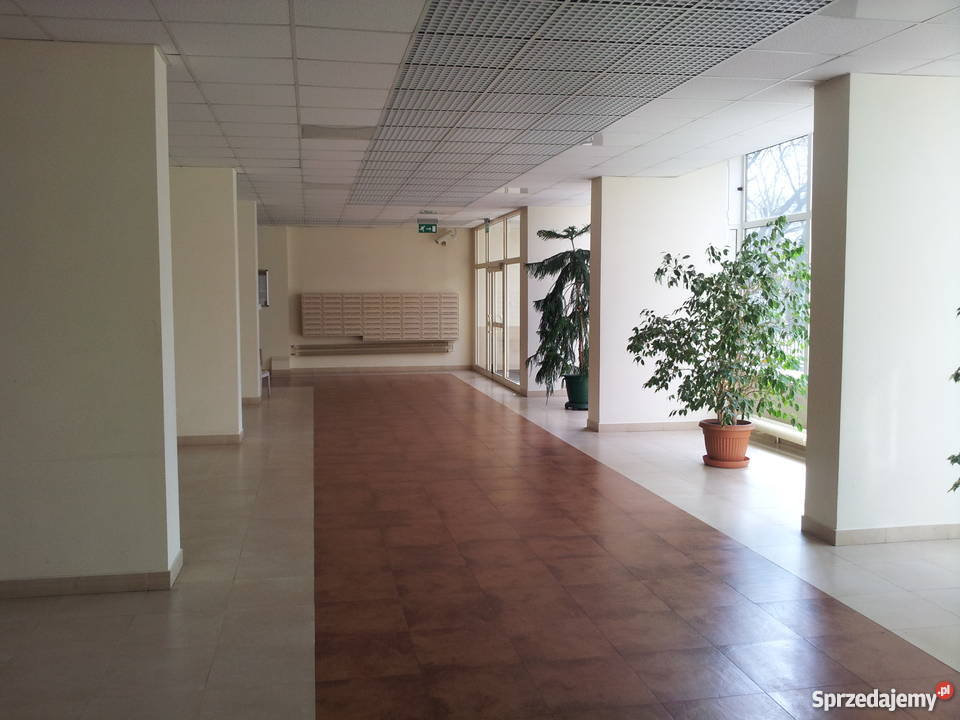 Bezpośrednio 3 pokoje Krochmalna Warszawa Warszawa sprzedam