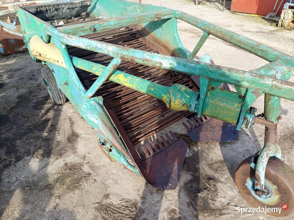 Kopaczka elewatorowa do ziemniaków chrzanu Szynkielów