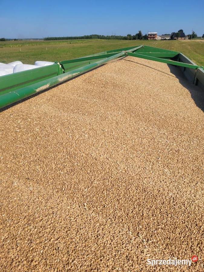 Przyczepa rolnicza 18t Ziółków