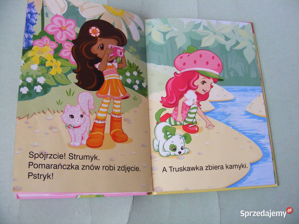 Wśród przyjaciół Zabawa z muzyką Przygoda na Bohaterowie telewizyjni Książki i Podręczniki dolnośląskie Oborniki Śląskie