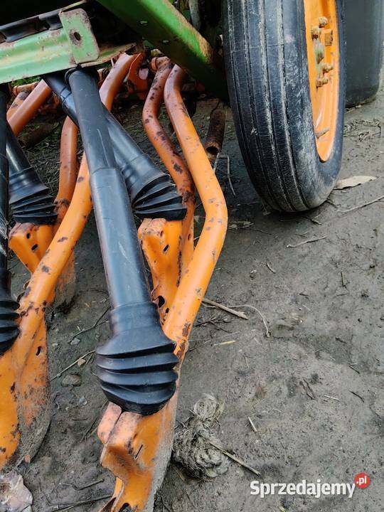 Redlice krzywe proste Amazone d7 d8 d4 Jałowęsy