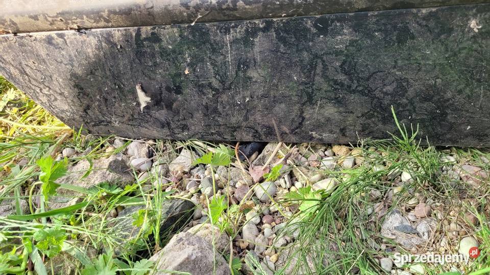 Drzwi Fiat Marea Części samochodowe