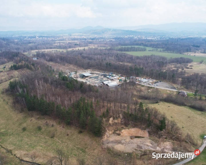 sprzedam dużą działkę rolną w asfalt Sprzedaż Głębock