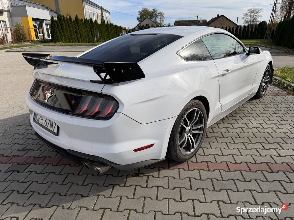 Ford mustang 37 Zielenice
