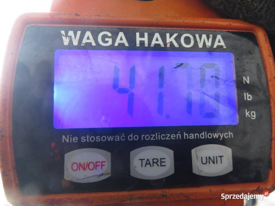 SANKI PRZÓD VW TRANSPORTER T5 19 TDI PD 105 AXB Belki zawieszenia sprzedam