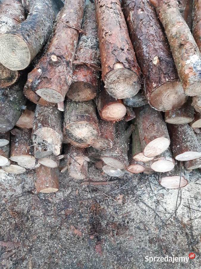 Drewno Opałowe Kominkowe Dąb Sosna Suche Pilica