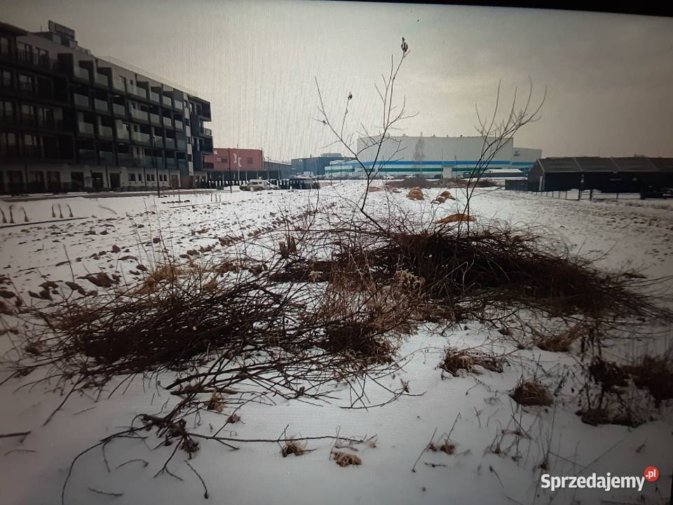 Na sprzedaż działki Zator strefa gospodarcza asfalt