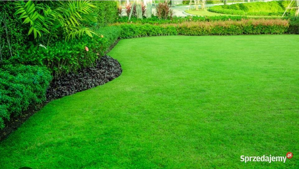 Koszenie trawy Bochnia Brzesko