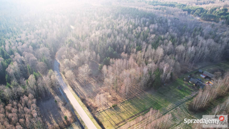 Sprzedam grunt 30288 metrów Ciosmy lubelskie sprzedam