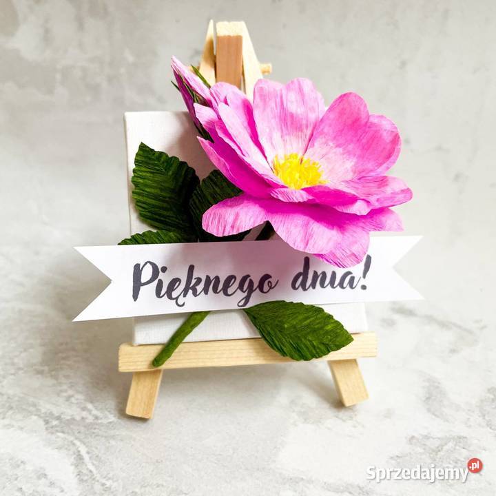 Kwiatek na sztaludze Wyposażenie wnętrz Zielona Góra