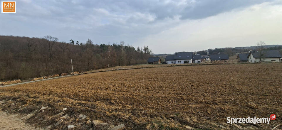 Grunt na sprzedaż Łuczyce Pod Lasem 698m2 sprzedam