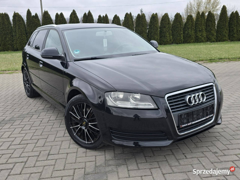 Audi A3 Sportback 14Turbo Rok produkcji 2009 łódzkie Kutno