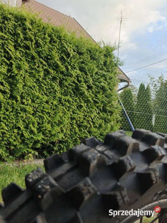 MRF 140 RCBIG KAYO TT YCF ASIX RFZ nieuszkodzony Nidzica