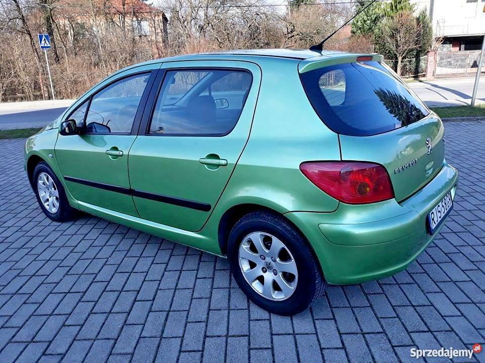 Peugeot 307 20 HDI 2001 Jasło