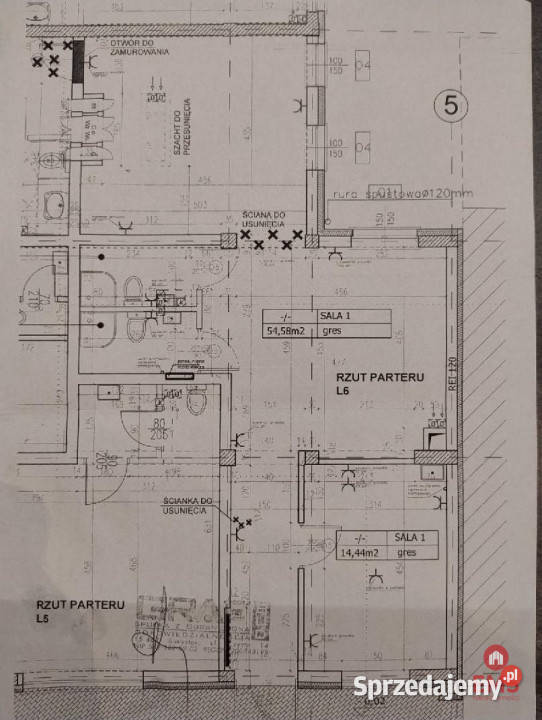 Lokal Białystok 50m2