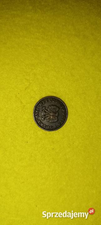 5 gr 1949 r Polkowice
