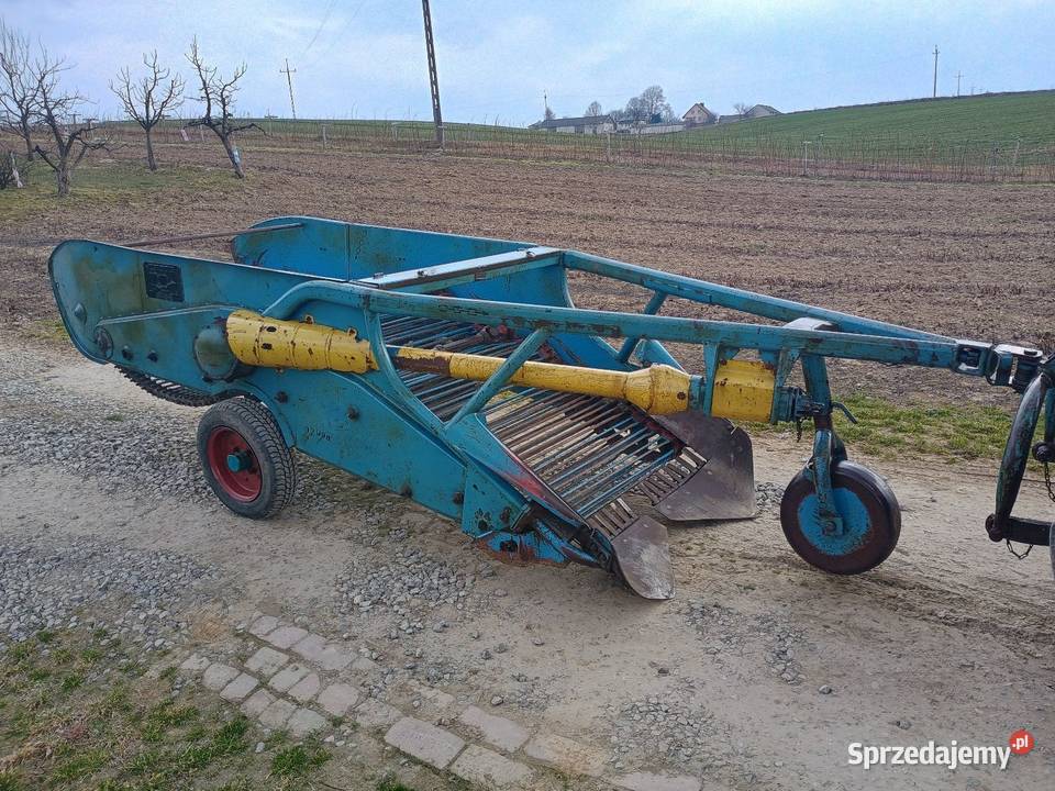 Kopaczka elewatorowa do ziemniaków Izbica sprzedam