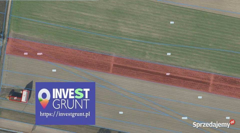 1037 ha przetarg na dzierżawę gruntów rolnych Głoginin